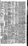 Irish Times Saturday 30 January 1875 Page 7