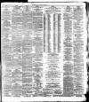 Irish Times Saturday 20 January 1877 Page 3