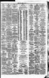 Irish Times Saturday 27 January 1877 Page 3