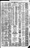 Irish Times Saturday 17 February 1877 Page 3