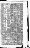 Irish Times Thursday 08 March 1877 Page 7