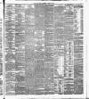 Irish Times Wednesday 29 January 1879 Page 3