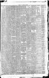 Irish Times Friday 21 May 1880 Page 7