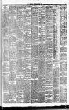 Irish Times Wednesday 30 June 1880 Page 3