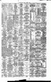 Irish Times Friday 12 February 1886 Page 8