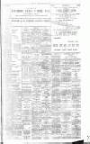 Irish Times Saturday 29 July 1899 Page 11