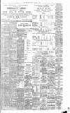 Irish Times Saturday 18 November 1899 Page 11