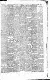 Weekly Irish Times Saturday 06 January 1877 Page 5