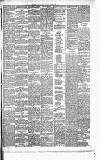 Weekly Irish Times Saturday 10 February 1877 Page 3