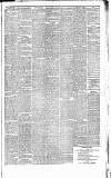 Weekly Irish Times Saturday 26 May 1877 Page 7