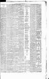 Weekly Irish Times Saturday 23 June 1877 Page 7