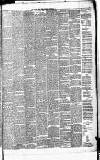 Weekly Irish Times Saturday 13 October 1877 Page 3