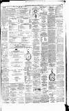 Weekly Irish Times Saturday 27 October 1877 Page 7