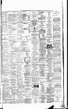 Weekly Irish Times Saturday 03 November 1877 Page 7