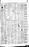 Weekly Irish Times Saturday 15 December 1877 Page 7