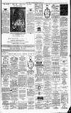 Weekly Irish Times Saturday 10 August 1878 Page 7