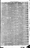 Weekly Irish Times Saturday 25 January 1879 Page 5