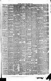 Weekly Irish Times Saturday 08 February 1879 Page 5