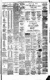 Weekly Irish Times Saturday 15 February 1879 Page 7