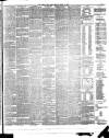 Weekly Irish Times Saturday 15 March 1879 Page 3