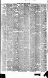 Weekly Irish Times Saturday 05 April 1879 Page 5