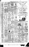 Weekly Irish Times Saturday 28 June 1879 Page 7