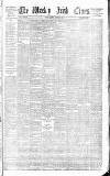 Weekly Irish Times Saturday 17 January 1880 Page 1