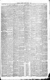 Weekly Irish Times Saturday 07 February 1880 Page 5