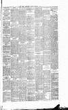 Weekly Irish Times Saturday 02 February 1884 Page 5