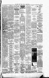 Weekly Irish Times Saturday 29 March 1884 Page 7