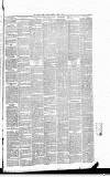 Weekly Irish Times Saturday 05 April 1884 Page 5