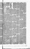 Weekly Irish Times Saturday 11 October 1884 Page 3