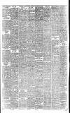 Weekly Irish Times Saturday 13 June 1885 Page 6