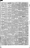 Weekly Irish Times Saturday 27 February 1886 Page 5