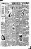 Weekly Irish Times Saturday 10 April 1886 Page 3