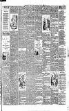 Weekly Irish Times Saturday 24 April 1886 Page 3