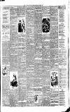 Weekly Irish Times Saturday 05 June 1886 Page 3