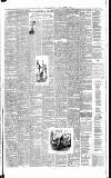 Weekly Irish Times Saturday 23 October 1886 Page 3