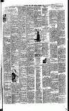 Weekly Irish Times Saturday 25 December 1886 Page 3
