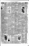 Weekly Irish Times Saturday 05 February 1887 Page 3