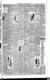 Weekly Irish Times Saturday 19 March 1887 Page 3