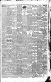 Weekly Irish Times Saturday 08 September 1888 Page 7