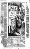 Weekly Irish Times Saturday 29 December 1888 Page 8
