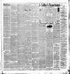 Weekly Irish Times Saturday 13 July 1889 Page 7