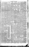 Weekly Irish Times Saturday 01 February 1890 Page 3