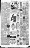 Weekly Irish Times Saturday 27 December 1890 Page 7