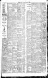 Weekly Irish Times Saturday 14 February 1891 Page 3