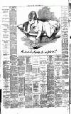 Weekly Irish Times Saturday 17 October 1891 Page 8