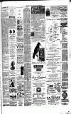 Weekly Irish Times Saturday 19 December 1891 Page 7