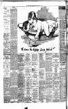 Weekly Irish Times Saturday 02 January 1892 Page 8